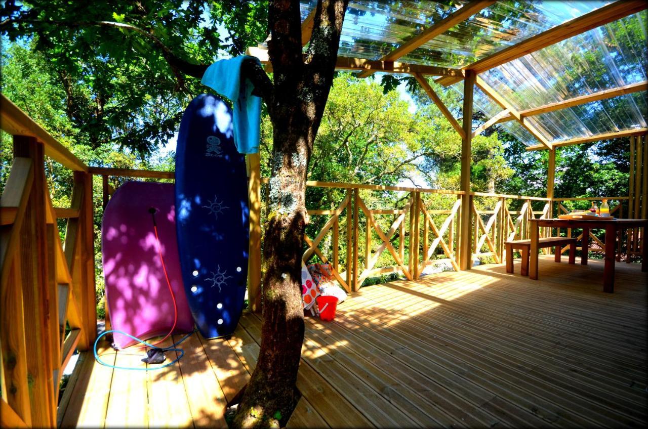 Village Nature et Océan Messanges  Exterior foto