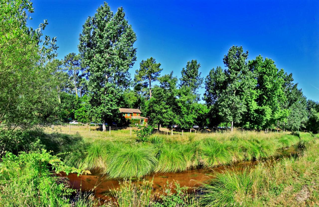 Village Nature et Océan Messanges  Exterior foto